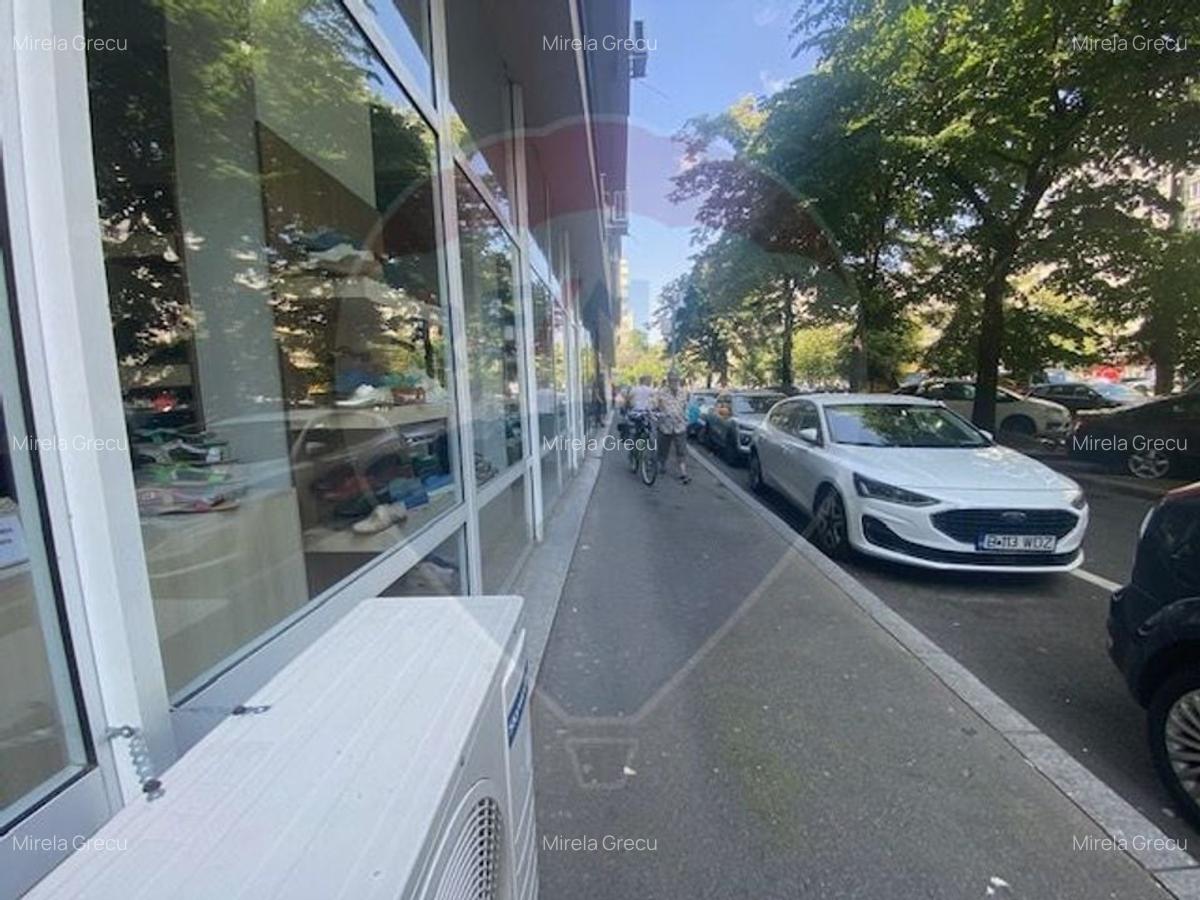 Spatiu comercial Pantelimon - 10