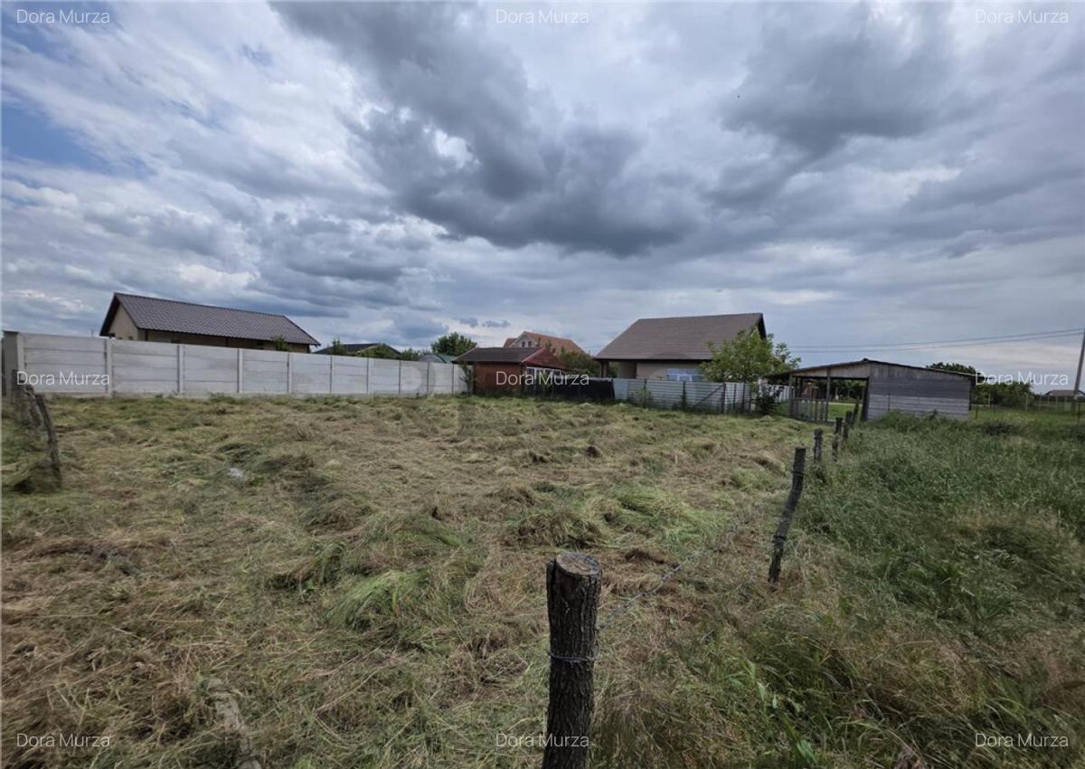 RECO Teren intravilan Livada de Bihor - 6