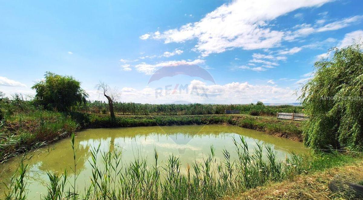 Casa cu teren de vanzare - 13 Casa cu teren de vanzare - 13