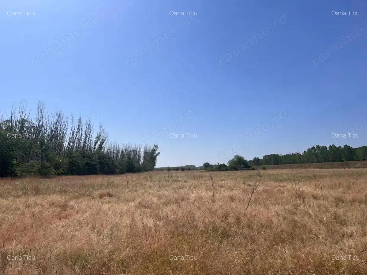 Teren agricol cu potential 24.834 mp, zona Podul Jiului - 14 Teren agricol cu potential 24.834 mp, zona Podul Jiului - 14