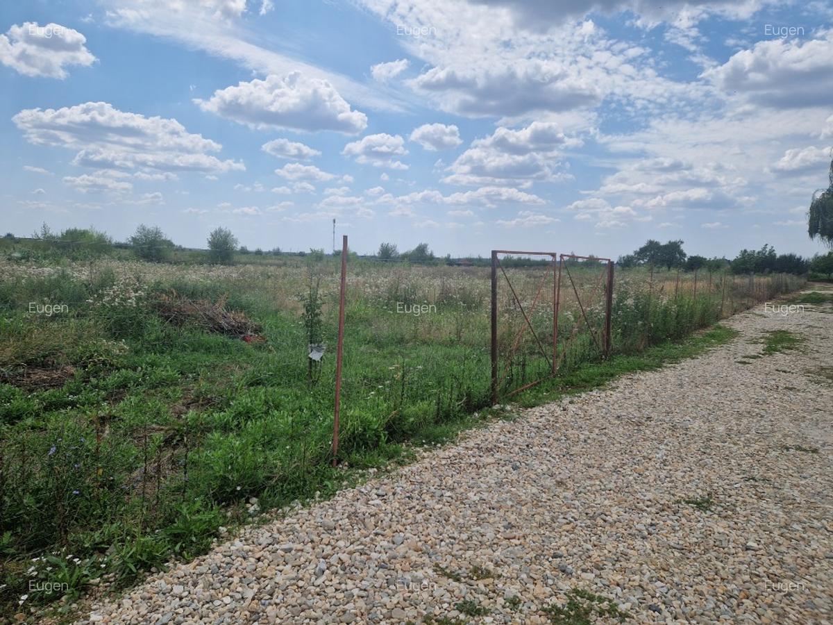 Vând teren intravilan 4000mp. La 7-8 km de Pitesti - 1