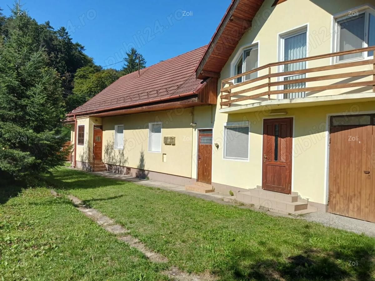 Casa frumoasa, ideala pentru 2 familii, zona linistita, localitatea Zizin, direct de la proprietar - 10