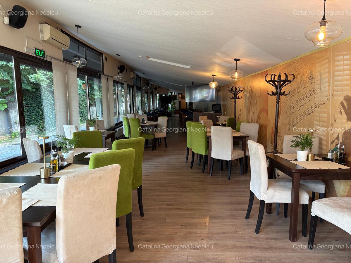 Ion Mihalache, Arcul de Triumf, spatiu comercial, 350mp, 3800Euro/luna - 7