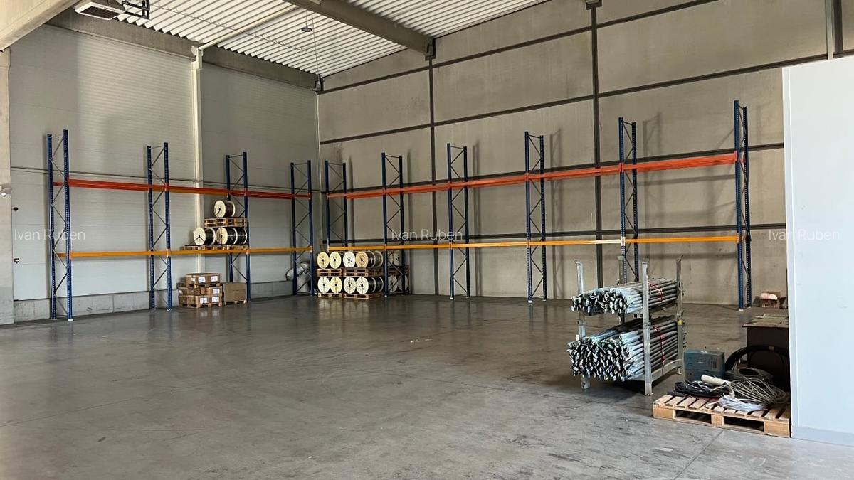 Hale de inchiriat Timisoara, Giarmata - 6