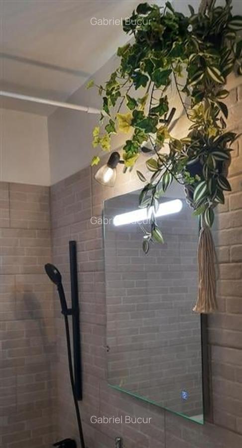 Apartament 2 Camere Decomandat Berceni-Turnu Magurele - 4