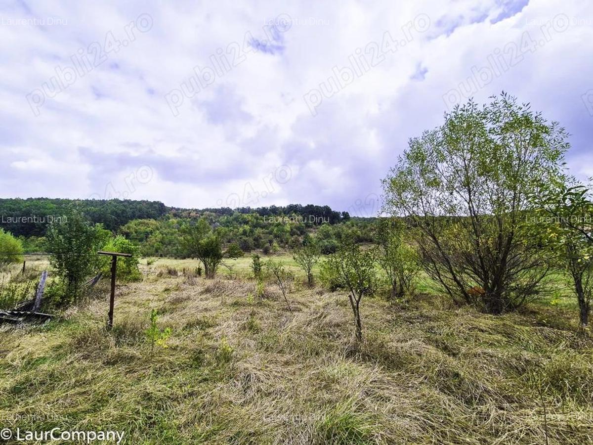 Teren 1,4 hectare Draganu Arges - 2