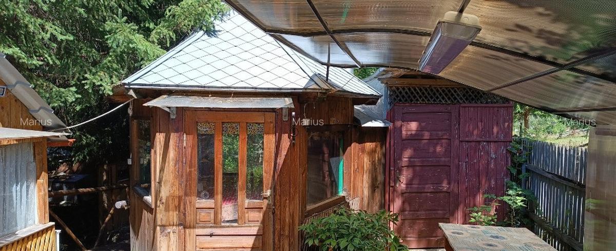 Casa Sunatori, Vatra Dornei, Suceava - 11