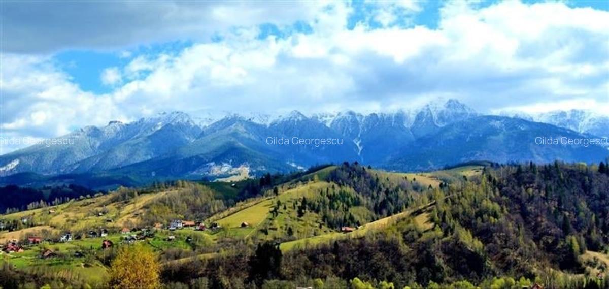 Teren Construcții intravilan de 5000 mp, în Exterior Est - 2