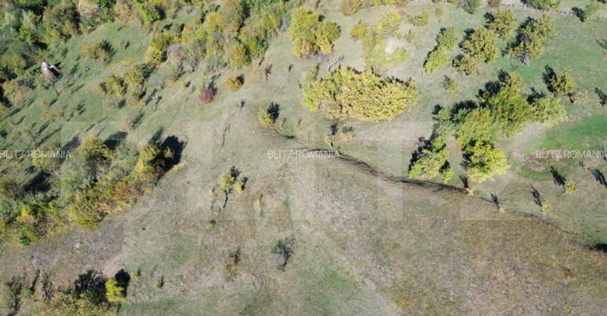 Teren extravilan, 41.631,00 mp, zona Pietrosita - 4