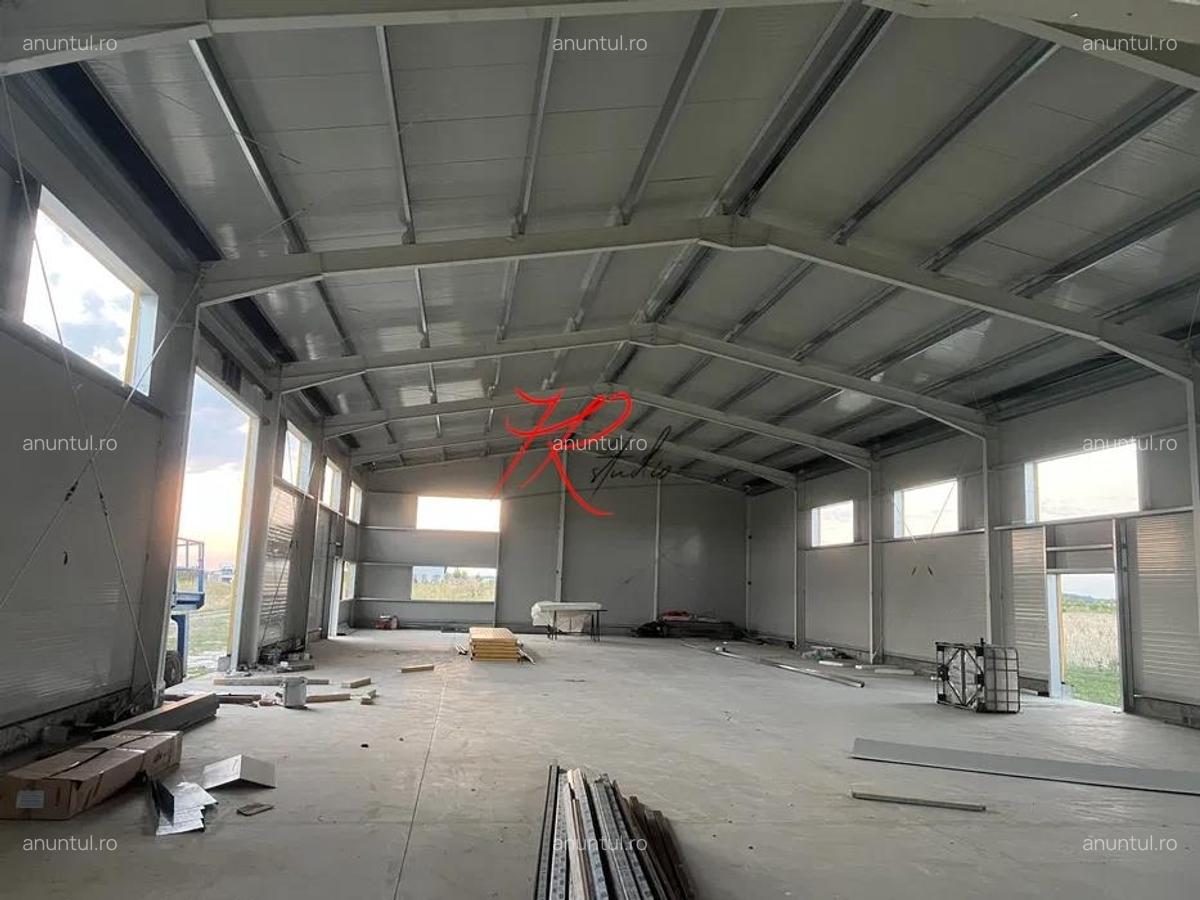 Vanzare Hala Noua Dascalu, plus teren - 1