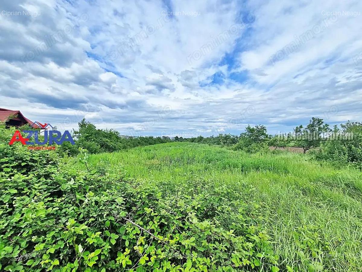 AZURA Imobiliare - Teren Mosoaia - 6
