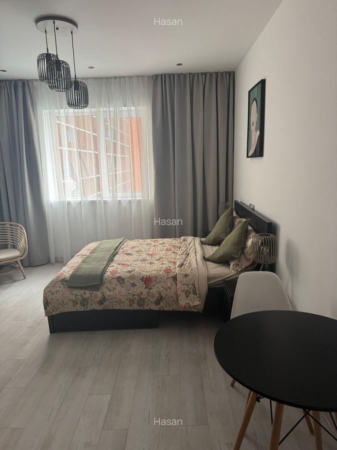 Propun spre inchiriere garsoniera in zona Vitan-Rin Grand Hotel - 2