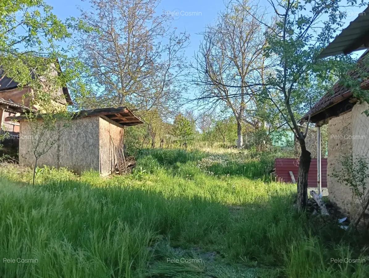 Vand casa in satul Derni?oara,jud. Bihor - 11