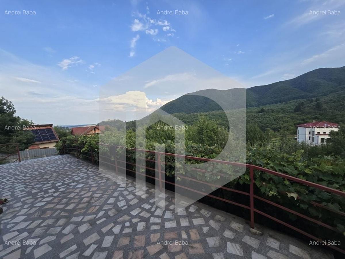 Casa individuala 4 camere teren 3825 mp Cisnadioara - 26