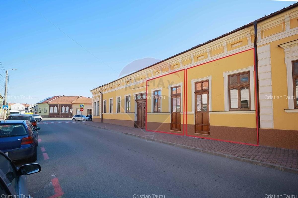 De vanzare 2 apartamente complet renovate Ultracentral - 3