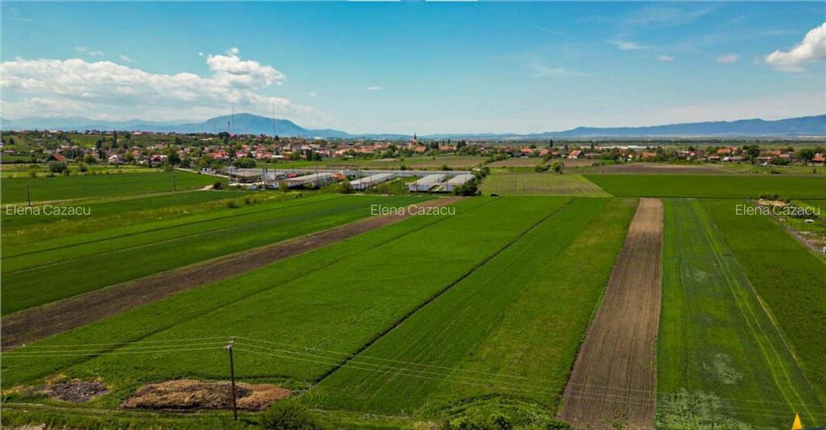 Aliniament de liniste, drum usor, 5.000 mp pamant verde, Bod - 3