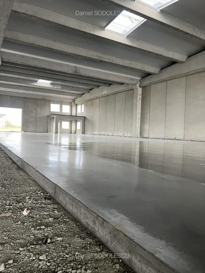 Spațiu industrial, 523 mp în Sânandrei - 2