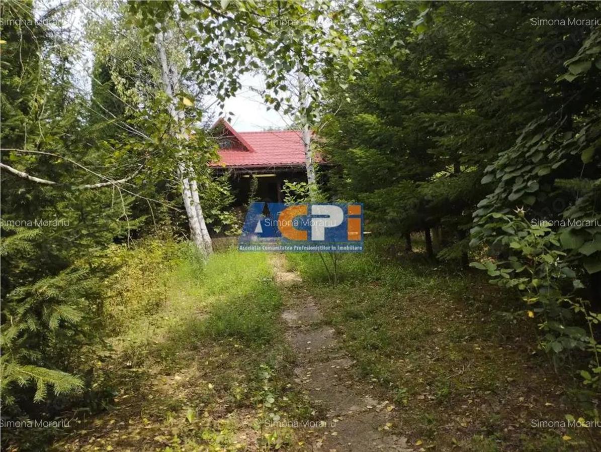 Casa Podis, Margineni - 11