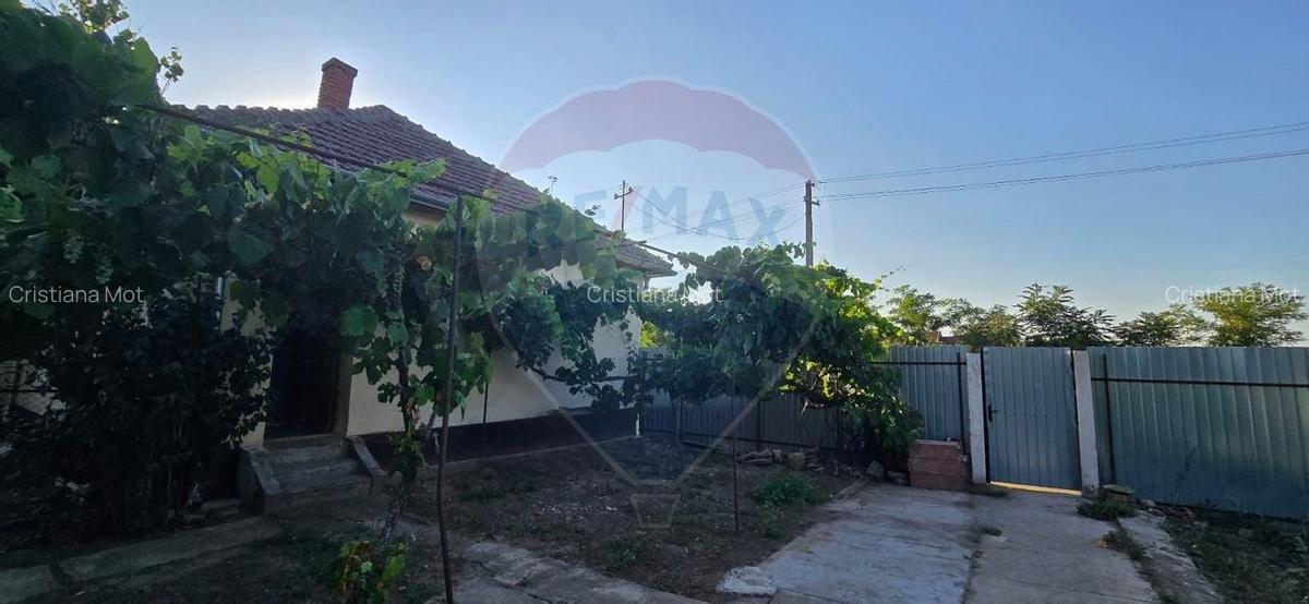 Casa de vanzare in Graniceri aproape de Arad - 13