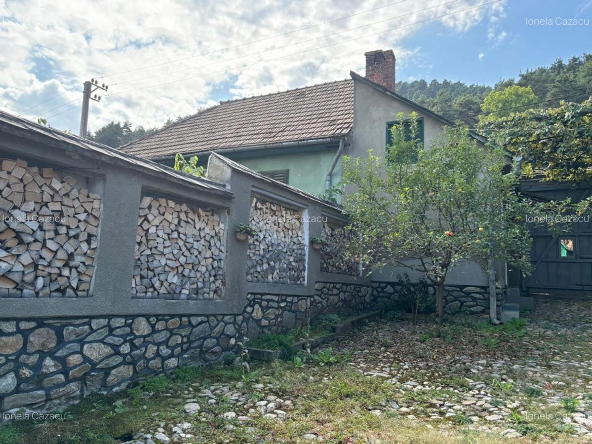 Casa in Marginimea Sibiului - Rasinari, jud. Sibiu - 20