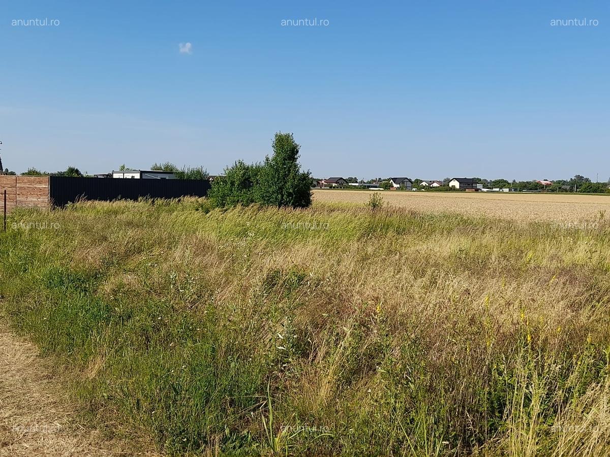 Ciorogarla, Ilfov - 4