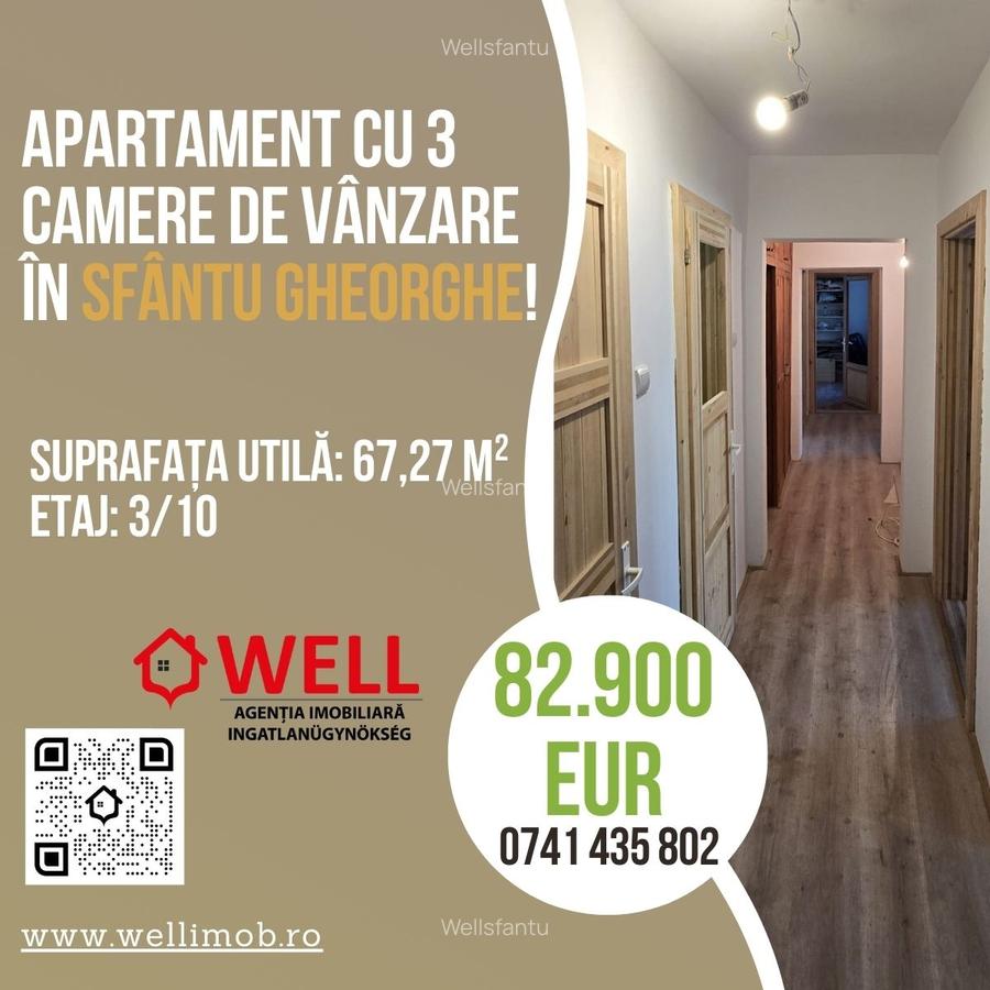 Apartament cu 3 camere de vânzare în Sfântu Gheorghe, pe strada Aleea Hărniciei! - 1
