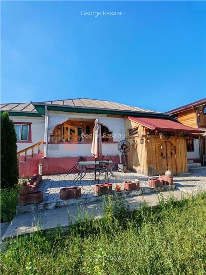 Teren intravilan + casa zona Fintesti - 9