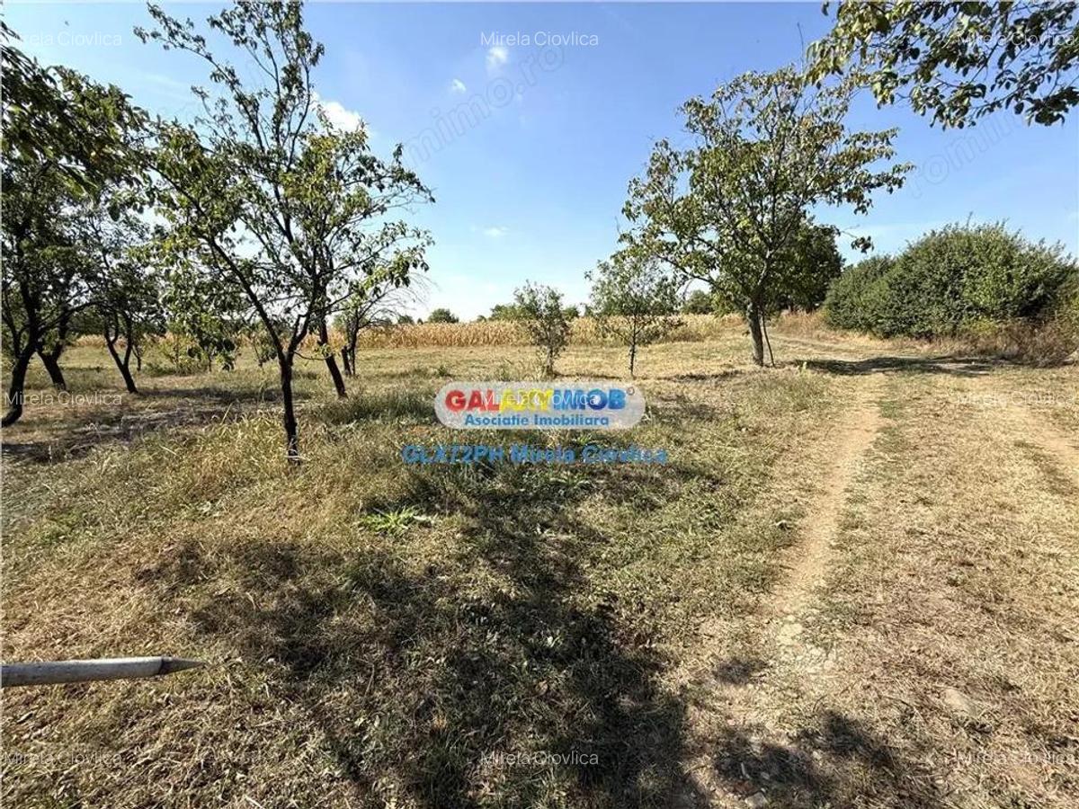 Vanzare teren intravilan Baicoi Central - 7 Vanzare teren intravilan Baicoi Central - 7