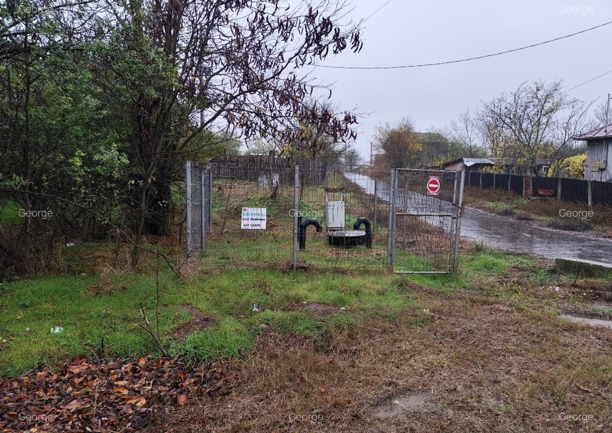 Casa batraneasca plus teren 1600mp Toporu jud. Giurgiu - 13