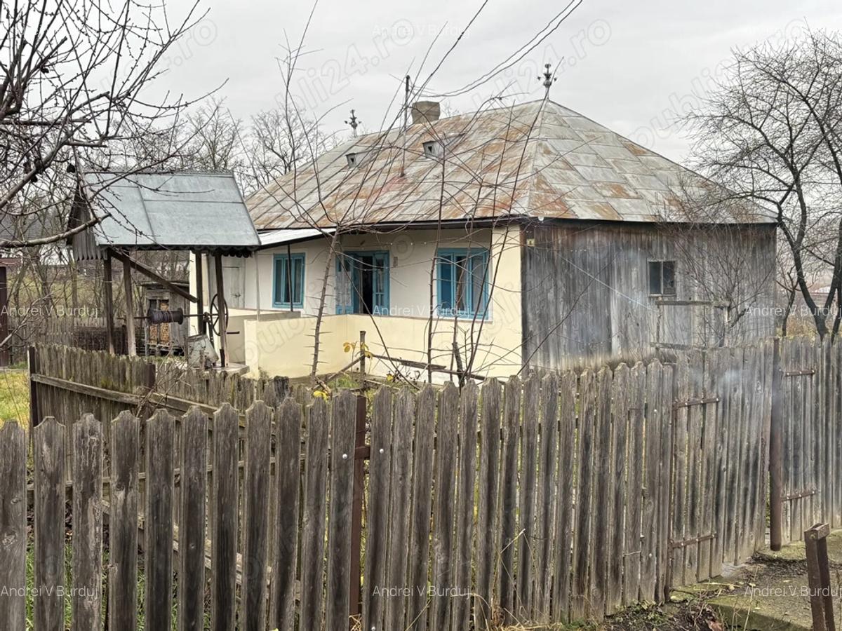 Vand casa cu gradina - 3