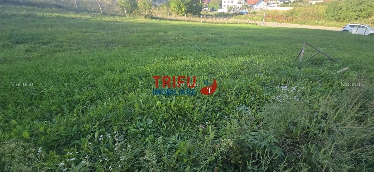 Teren Intravilan în Alba Iulia - Valea Popii - 5