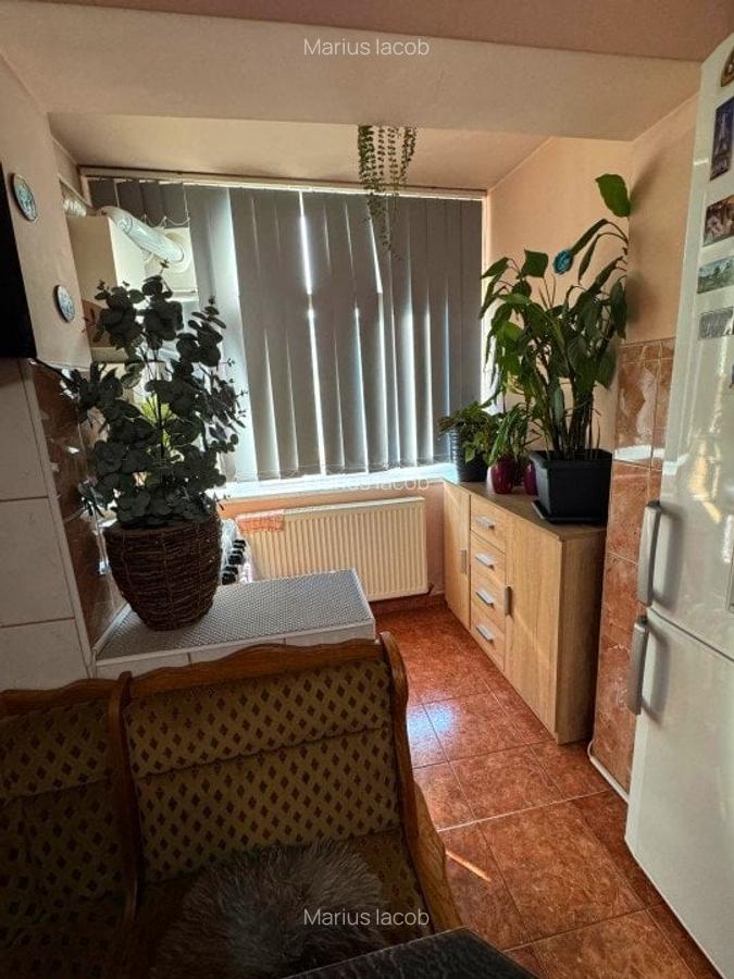 Apartament 3 camere-Metalurgie-Gradinari-etaj intermediar-bloc 1980 - 7