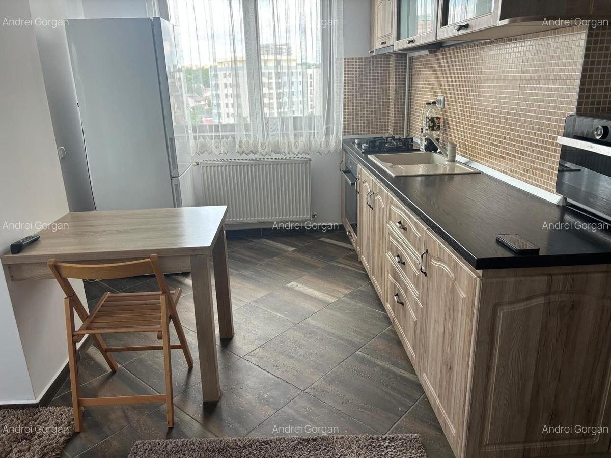 Apartament cu 2 camere, mobilat în Palat - 4