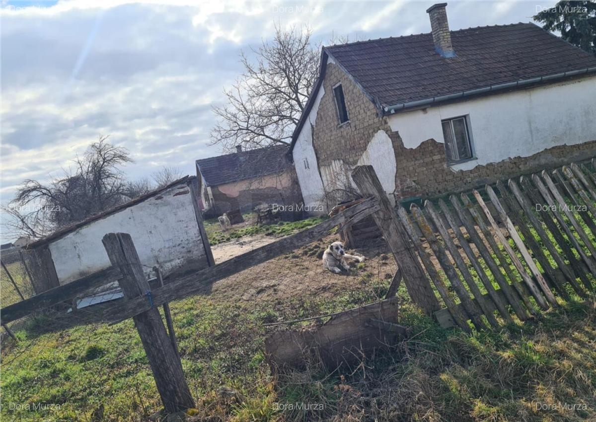 RECO Casa in Ungaria cu teren generos - 6