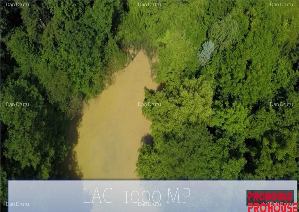 Valea Budului - Teren intravilan. Lac. Padure - 5