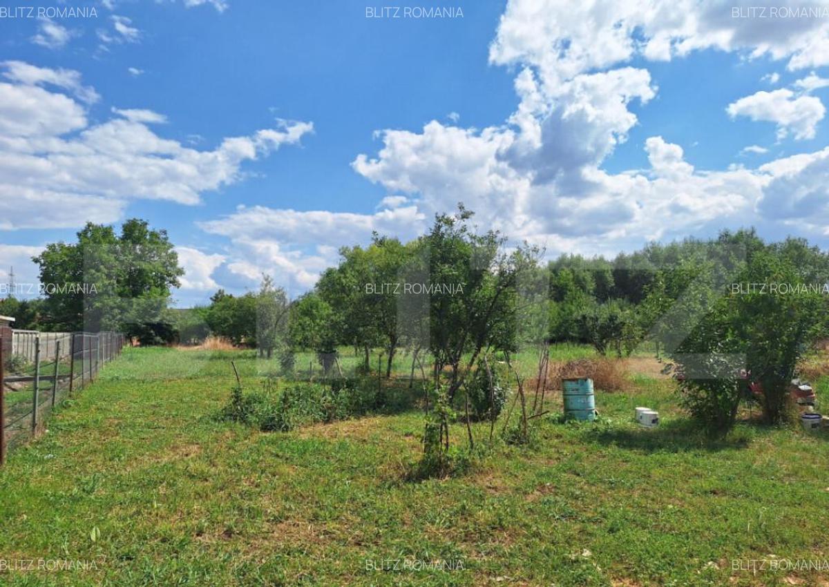 Casa cu teren intravilan, 4600 mp, investiitii/dezvoltare! - 4