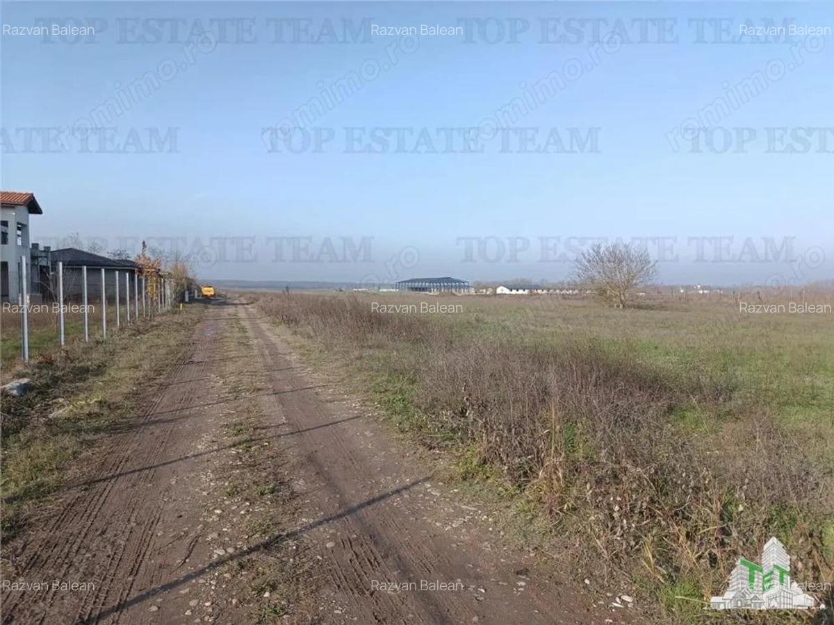 Super teren intravilan (Lot 1) la DJ 101, loc. Gruiu IF, ideal pentru dezvoltatori imobiliari pentr - 2
