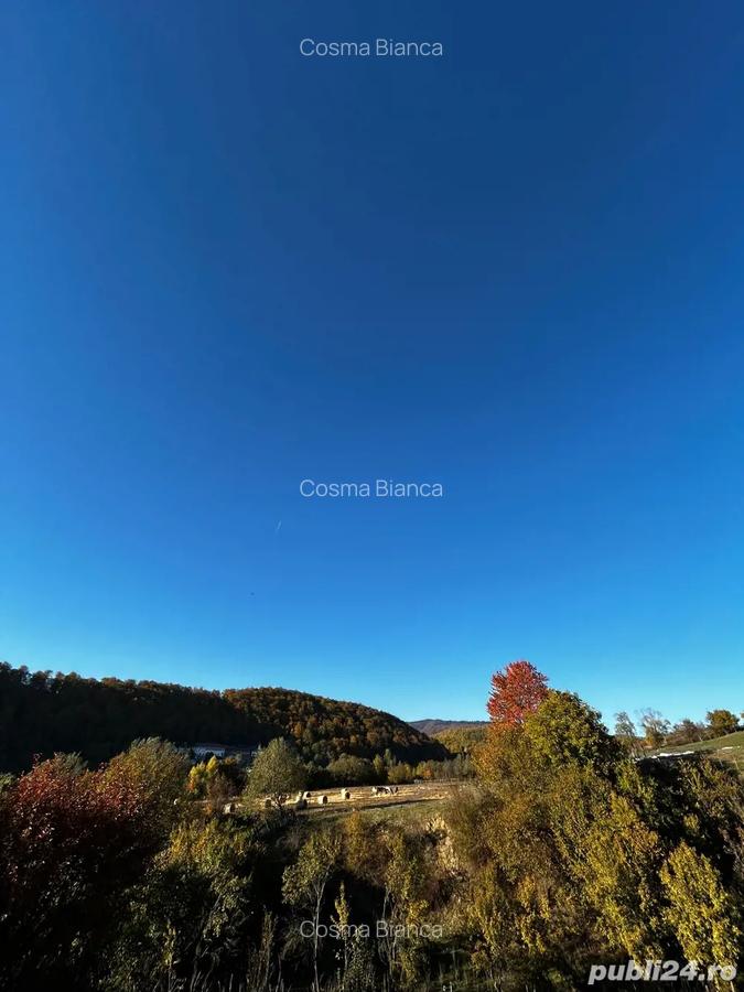 Casa batraneasca + teren 5000mp - 3