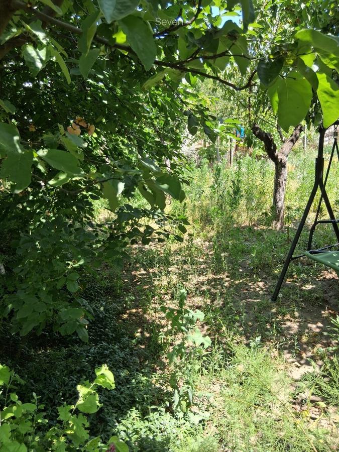Casa 4 camere - Murfatlar - 135.000 euro(Cod E7+E11) - 11