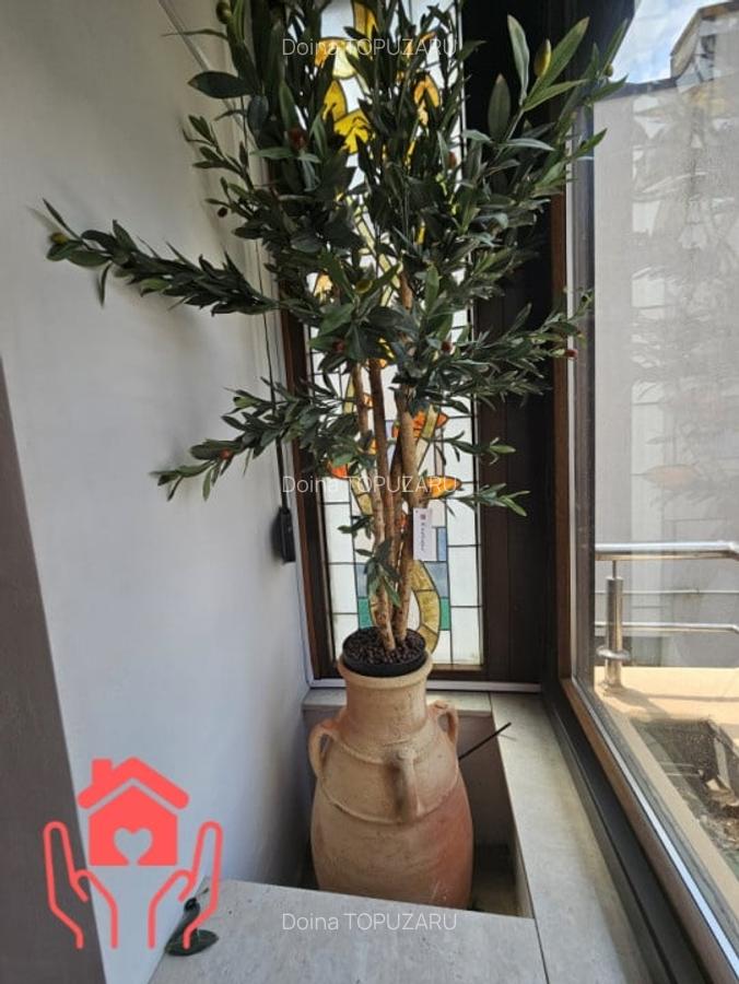 VATRA LUMINOASA-Duplex unicat, 170 mp, mobilier si amenajare FENG SHUI, liber! - 34