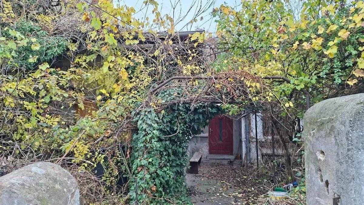 Drumul Sarii casa demolabila - 1