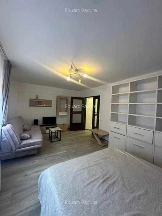 Apartament 1 camera -Podu de fier- - 3