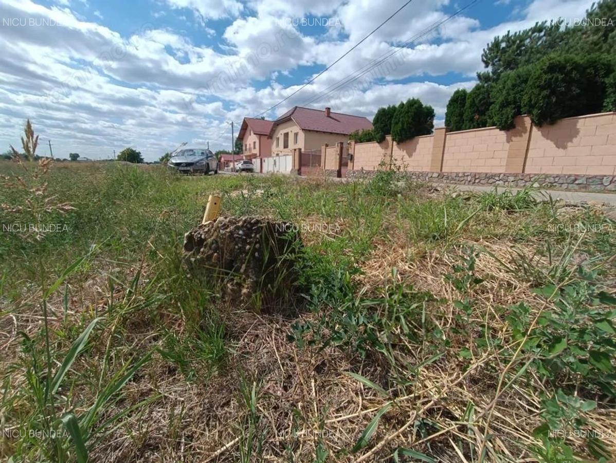 Descopera o oportunitate rara: Teren intravilan- 2.000 mp in Zadareni - 10