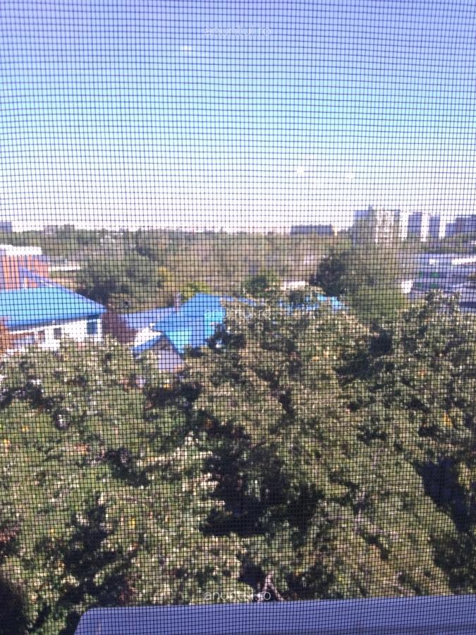 Camil Ressu, Park Lake, Piata Ramnicu Sarat - 2