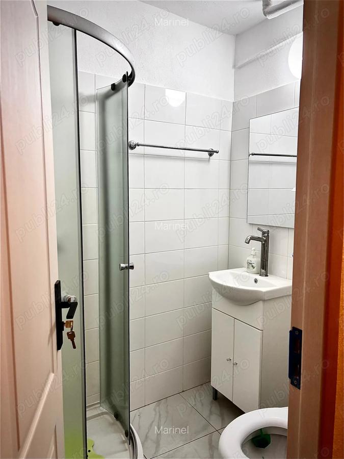 Inchiriere apartament cu o camera in zona Dambovita - 4