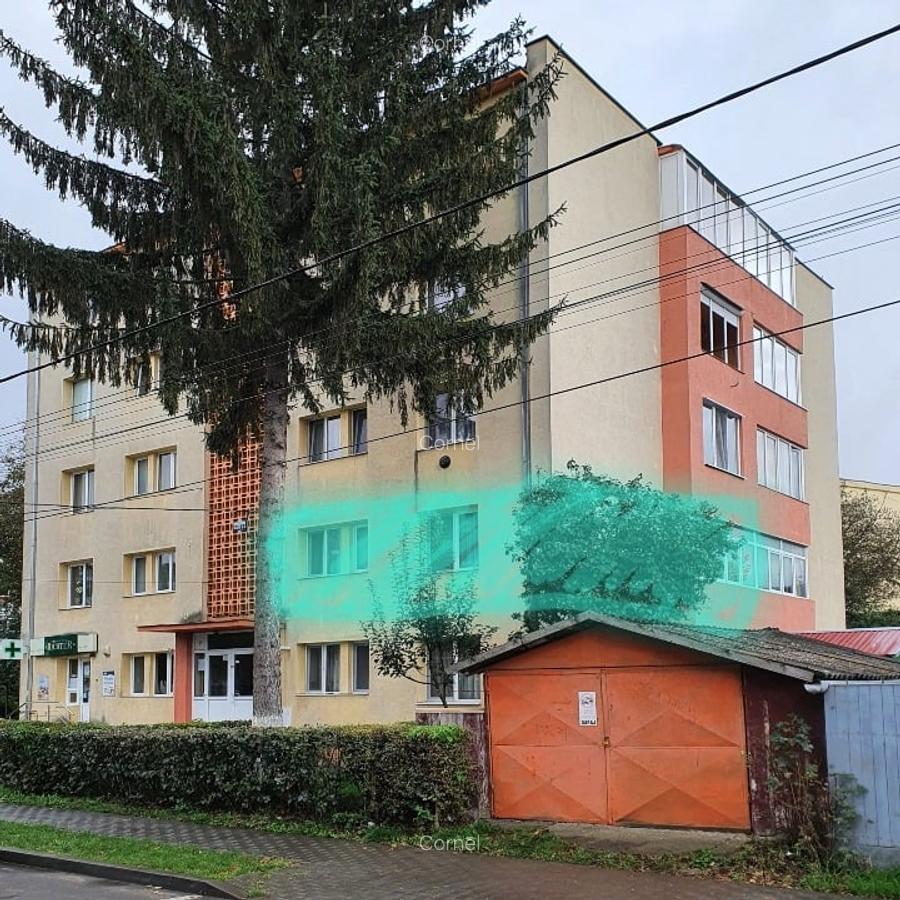 Apartament 2 camere mobilat etaj 1 + garaj la stradă (str. Policlinici) - 1