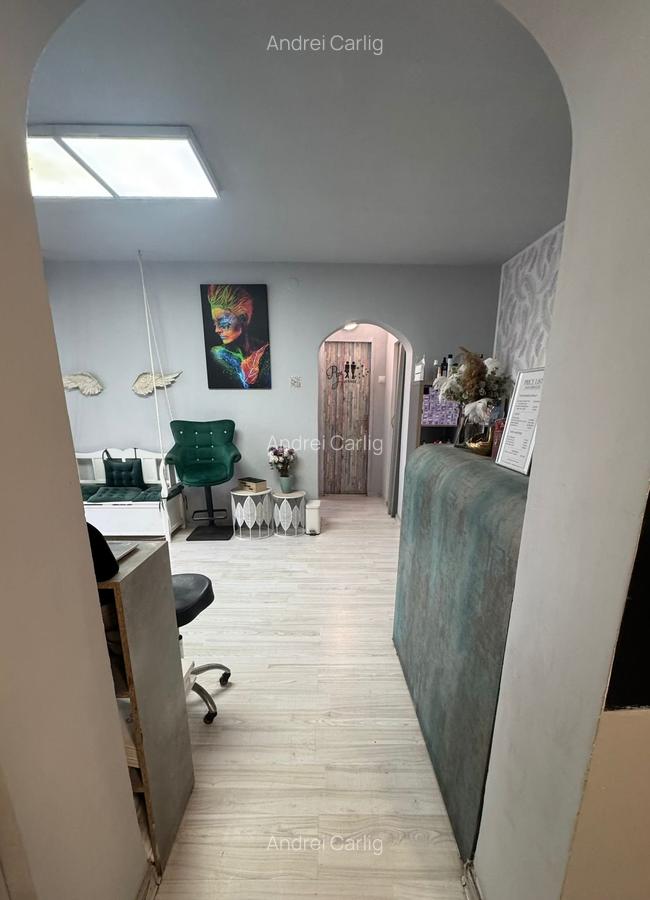 Spatiu comercial Podu Ros - 10