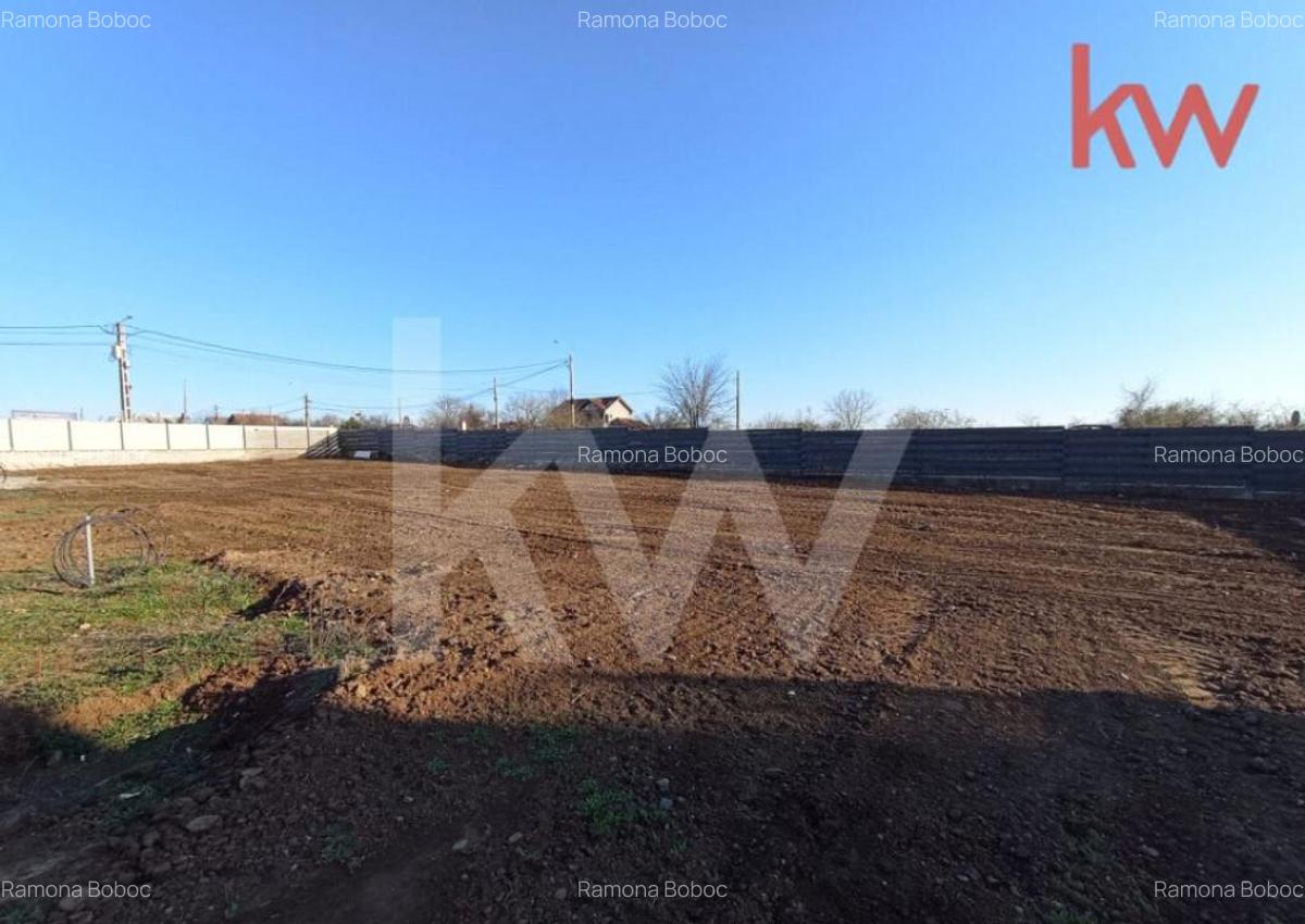 Oportunitate! Teren unic, strada privata de case, Carcea, cu - 4
