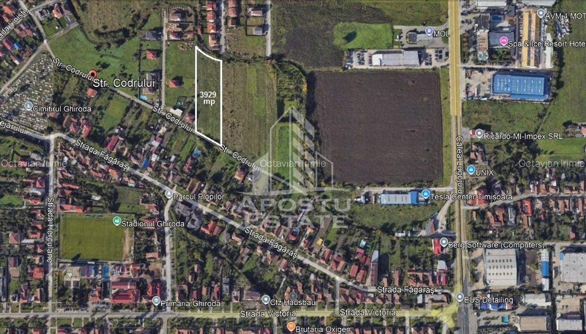 Teren 3929 mp, langa Timisoara, Ghiroda, ideal dezvoltari rezidentiale - 2