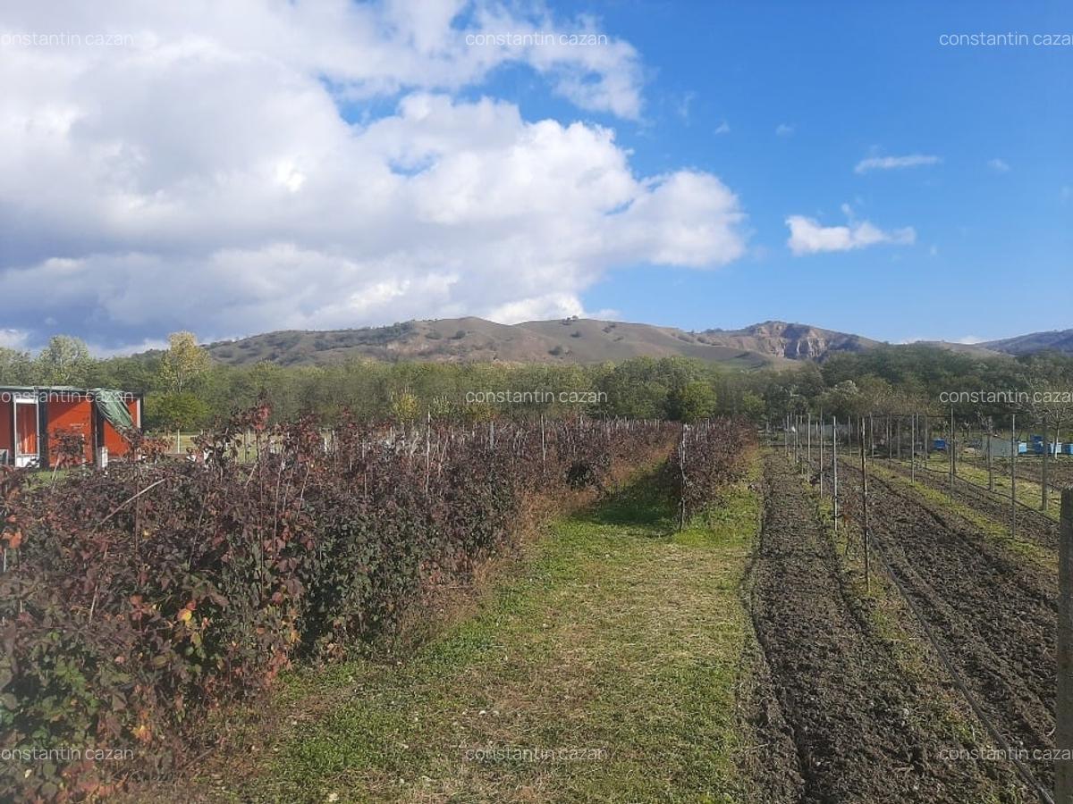 Vand parcela teren extravilan - 2